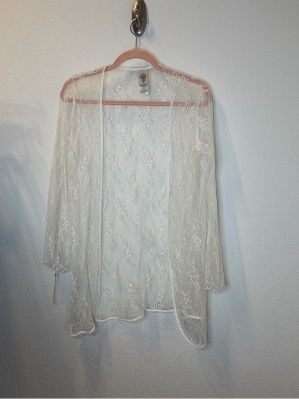 Sheer Lace Chemise Cover-Up in Ivory - Unbranded